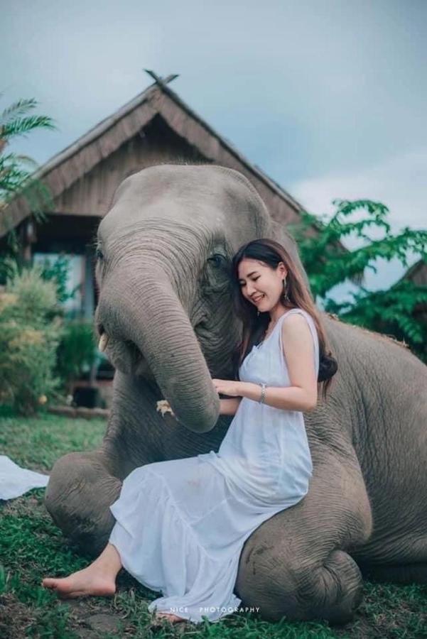 Appartamento 3 Pok Maewang Jinxiang Mae Wang Esterno foto